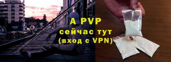 крисы Баксан