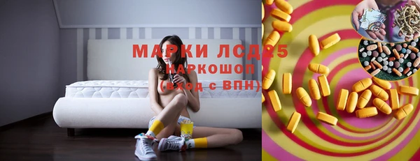 крисы Баксан