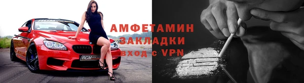 крисы Баксан