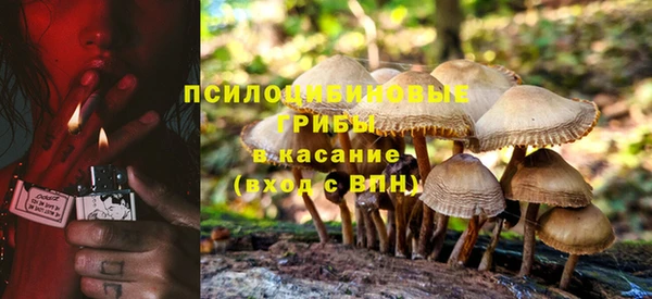 крисы Баксан