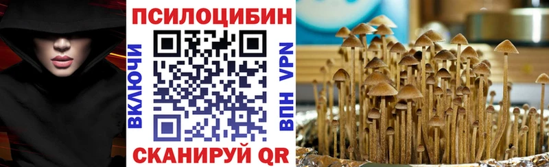 mega как зайти Белёв Галлюциногенные грибы Cubensis даркнет сайт
